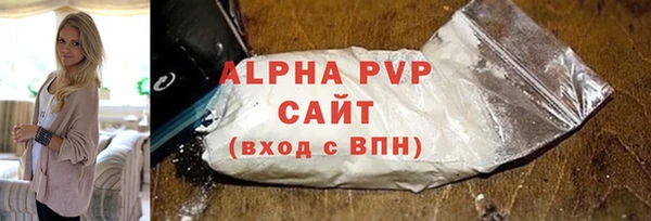 PSILOCYBIN Майский