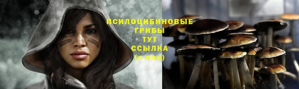 хмурый Магадан