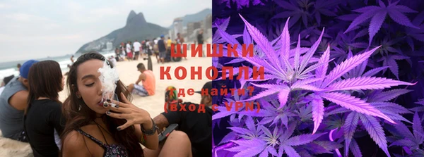стаф Медвежьегорск