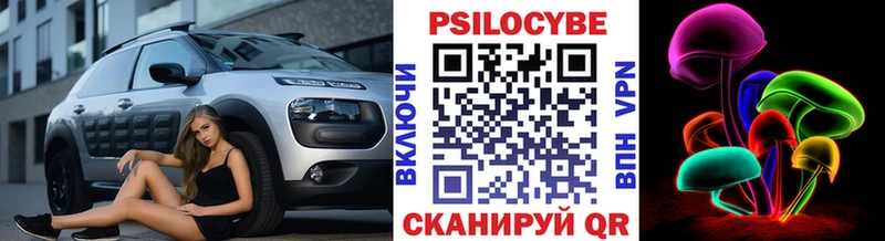 Псилоцибиновые грибы Psilocybine cubensis  где купить   Нолинск 